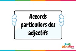 Jeux en ligne : Accords particuliers des adjectifs - 5ème - 4ème - 3ème - Vidéo pédagogique interactive