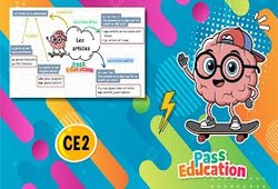 Vidéo Les articles – CE2 – Vidéo pédagogique - Cycle 2
