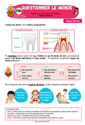Leçon Hygiène dentaire – CE1 – Leçon – Apis & ses amis - Cycle 2 - PDF à imprimer