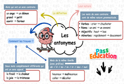 Les antonymes – Carte mentale à co-construire de vocabulaire pour le ce2 - Cycle 2 - PDF à imprimer