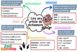 Lire un article de dictionnaire – Carte mentale à co-construire pour le ce2 - Cycle 2 - PDF à imprimer