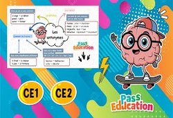 Vidéo Donner le contraire d'un mot – CE1 - Carte mentale en vidéo - Cycle 2