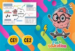 Les synonymes – Carte mentale en vidéo pour le ce2 - Cycle 2