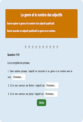 Genre et nombre adjectifs : Exercice en ligne CE1 : Français - Orthographe - Étude de la langue - Cycle 2