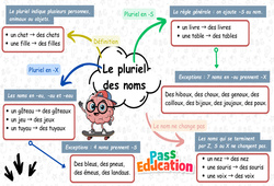 Carte mentale Le pluriel des noms – Carte mentale à co-construire pour le ce2 - Cycle 2 - PDF à imprimer
