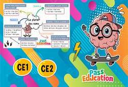 Vidéo Le pluriel des noms – Carte mentale en vidéo pour le ce2 - Cycle 2