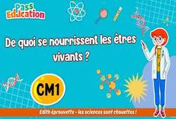 Vidéo De quoi se nourrissent les êtres vivants&nbsp;? – Cm1 – Vidéo pédagogique – Edith Eprouvette - Cycle 3