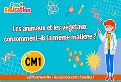 Vidéo Les animaux et les végétaux consomment-ils la même matière&nbsp;? – Cm1 – Vidéo pédagogique – Edith Eprouvette - Cycle 3