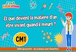 Vidéo Et que devient la matière d’un être vivant quand il meurt&nbsp;? – Cm1 – Vidéo pédagogique – Edith Eprouvette - Cycle 3