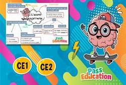 Vidéo L'accord du verbe avec son sujet – Carte mentale vidéo pour le ce2 - Cycle 2