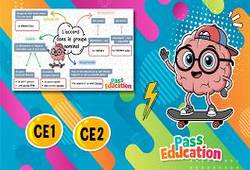 L'accord dans le groupe nominal – Carte mentale en vidéo pour le ce2 - Cycle 2