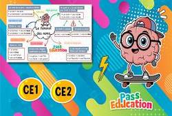 Le féminin des noms - CE2 - Carte mentale en vidéo - Cycle 2