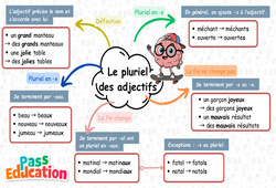 Pluriel des adjectifs - CE2 - Carte mentale à co-construire - Cycle 2 - PDF à imprimer