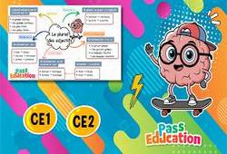 Pluriel des adjectifs - CE2 - Carte mentale en vidéo - Cycle 3