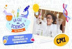 Mélanges - Dissolution et évaporation – Cm1 – Quiz – La Clé des Sciences - Cycle 3
