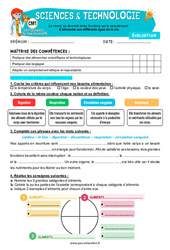 S’alimenter aux différents âges de la vie – Cm1 – Evaluation – Edith Eprouvette - PDF à imprimer