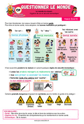 Leçon Hygiène de vie et sécurité domestique – CP – Leçon – Apis & ses amis - Cycle 2 - PDF à imprimer