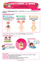Leçon Hygiène de vie et sécurité domestique – CE2 – Leçon – Apis & ses amis - Cycle 2 - PDF à imprimer