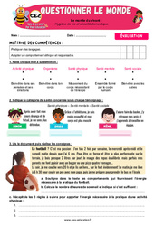 Hygiène de vie et sécurité domestique – CE2 – Evaluation – Apis & ses amis - PDF à imprimer