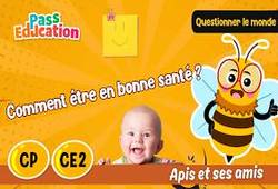 Vidéo Comment être en bonne santé&nbsp;? – CP – CE2 – Vidéo – Apis & ses amis - Cycle 2