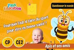 Vidéo Pourquoi faut-il faire du sport pour être en bonne santé&nbsp;? – CP – CE2 – Vidéo – Apis & ses amis - Cycle 2