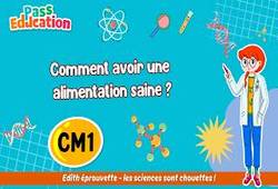 Vidéo Comment avoir une alimentation saine&nbsp;? – Cm1 – Vidéo – Edith Eprouvette - Cycle 3
