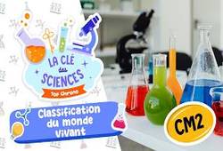 Leçon, exercice et évaluation :<br/> Classification du monde vivant – Cm2 – Quiz – La Clé des Sciences - Cycle 3