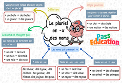 Le pluriel en -x des noms - CE2 - Carte mentale à co-construire - PDF à imprimer