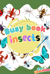 Insects - GS – Fichier d’activités – Anglais - Cycle 1 - PDF à imprimer