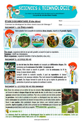 Exercice Le cycle de vie des êtres vivants – Cm1 – Exercices – Edith Eprouvette - Cycle 3 - PDF à imprimer