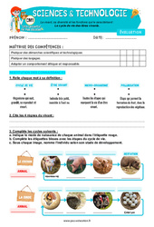 Evaluation Le cycle de vie des êtres vivants – Cm1 – Evaluation – Edith Eprouvette - Cycle 3 - PDF à imprimer