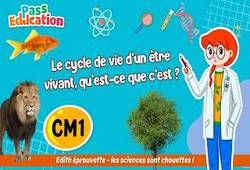Vidéo Le cycle de vie d’un être vivant, qu’est-ce que c’est&nbsp;? – Cm1 – Vidéo – Edith Eprouvette - Cycle 3