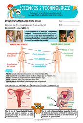 Exercice La capacité de reproduction des êtres humains – Cm2 – Exercices – Edith Eprouvette - Cycle 3 - PDF à imprimer