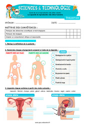 Evaluation La capacité de reproduction des êtres humains – Cm2 – Evaluation – Edith Eprouvette - Cycle 3 - PDF à imprimer
