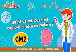 Vidéo Qu’est-ce qui nous rend capables de nous reproduire&nbsp;? – Cm2 – Vidéo – Edith Eprouvette - Cycle 3