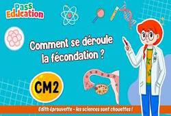 Vidéo Comment se déroule la fécondation&nbsp;? – Cm2 – Vidéo – Edith Eprouvette - Cycle 3