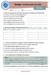 Les liens entre les mots (homonymes, synonymes et antonymes) - 3ème - Vocabulaire - Je me prépare au Brevet - PDF à imprimer