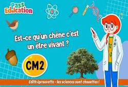 Vidéo Est-ce qu’un chêne c’est un être vivant&nbsp;? – Cm2 – Vidéo – Edith Eprouvette - Cycle 3
