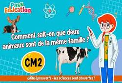 Vidéo Comment sait-on que deux animaux sont de la même famille&nbsp;? – Cm2 – Vidéo – Edith Eprouvette - Cycle 3