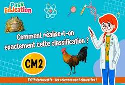 Vidéo Comment réalise-t-on exactement cette classification&nbsp;? – Cm2 – Vidéo – Edith Eprouvette - Cycle 3