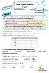 Former le féminin des adjectifs irréguliers – CM1 – Exercices Pas à Pas - Cycle 3 - PDF à imprimer