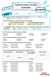 Transformer le genre et le nombre des groupes nominaux simples – CM1 – Exercices Pas à Pas - Cycle 3 - PDF à imprimer