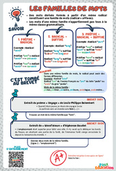 La famille des mots - 3ème - memo brevet étude de la langue - Cycle 4 - PDF à imprimer