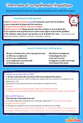 Cours Grammaire et compréhension linguistique (Brevet de français) - 3ème - Fiche méthodologique préparation au brevet (3) - Cycle 4 - PDF gratuit à imprimer