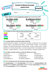 Leçon, exercice et évaluation :<br/> Accorder les éléments d’un groupe nominal enrichi – CE2 – Exercices Pas à Pas - Cycle 2 - PDF à imprimer