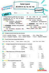Former le pluriel des noms en -ou, -eu, -au, -eau – CM1 – Exercices Pas à Pas - Cycle 3 - PDF à imprimer