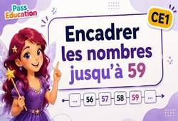 Encadrer les nombres jusqu'à 59 - Ce1 - Vidéo pédagogique - Cycle 2