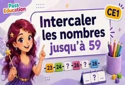 Intercaler les nombres jusqu'à 59 - Ce1 - Vidéo pédagogique - Cycle 2