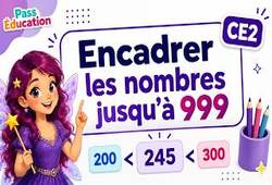 Encadrer et intercaler les nombres de 0 à 999 au Ce1 - Vidéo pédagogique - Cycle 2