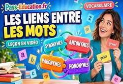 Les liens entre les mots: (synonymes, antonymes, paronymes, homonymes) - 4ème - Vidéo pédagogique